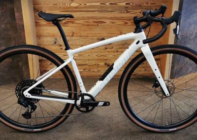 Specialized Diverge Comp Carbon