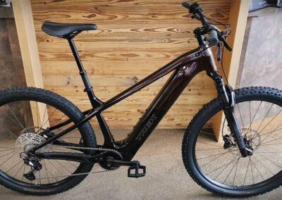 trek-powerfly+-6-gen-5