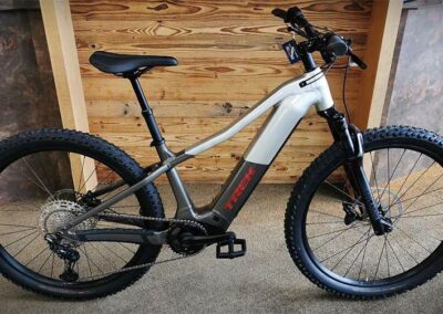 trek-powerfly+-6-gen-fünf