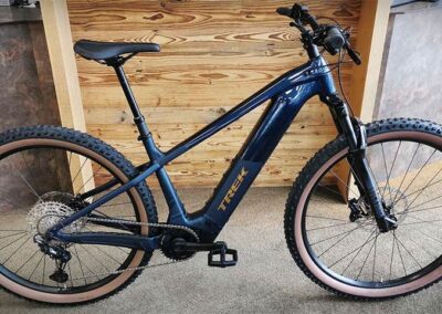 trek-powerflyplus-6-gen-5
