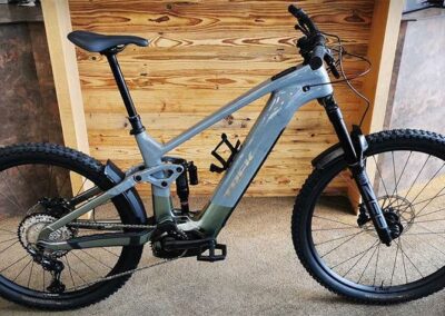 trek-railplus-9.7-gen-5