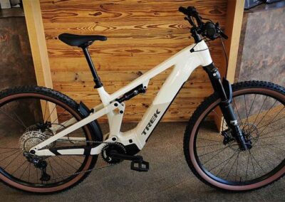 trek-powerfly+-fs-6-gen-4