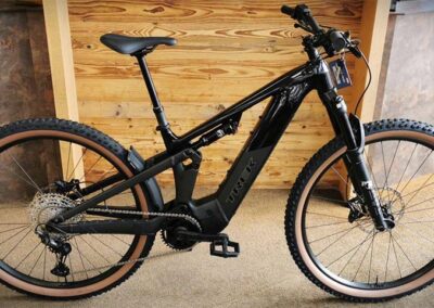 trek-powerfly+-fs-6-gen-4